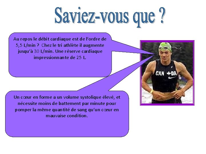 Au repos le débit cardiaque est de l’ordre de 5, 5 L/min ? Chez