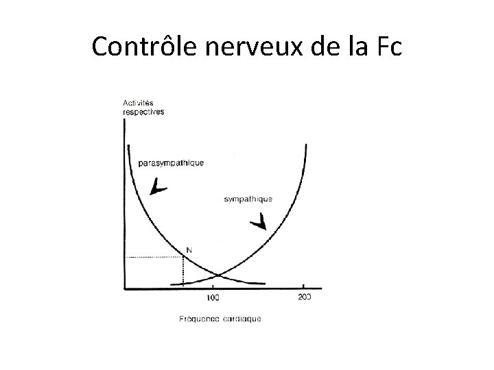 Contrôle nerveux de la Fc 