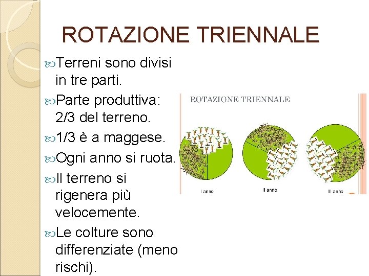 ROTAZIONE TRIENNALE Terreni sono divisi in tre parti. Parte produttiva: 2/3 del terreno. 1/3