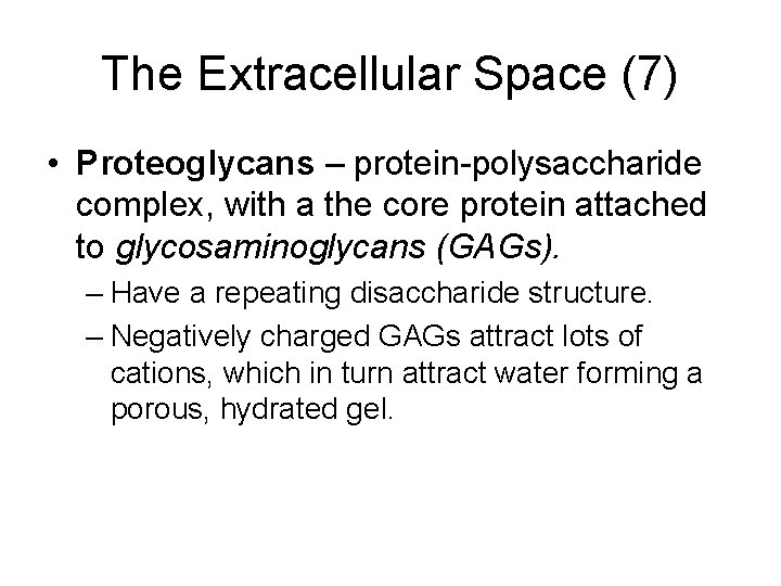 The Extracellular Space (7) • Proteoglycans – protein-polysaccharide complex, with a the core protein