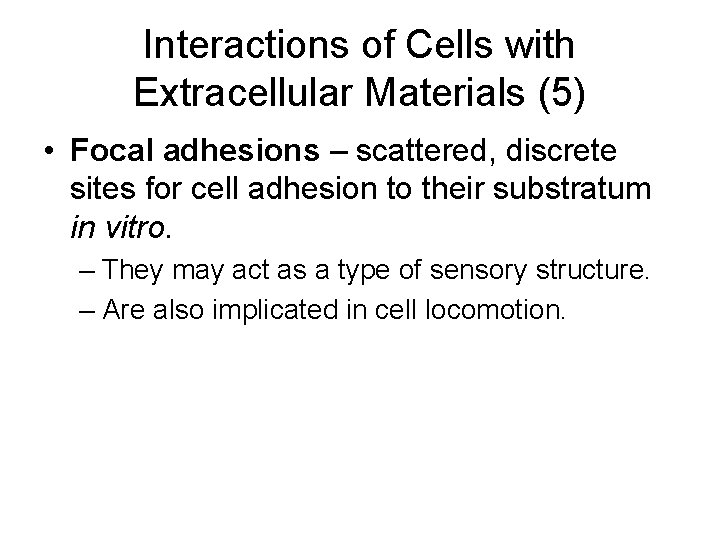 Interactions of Cells with Extracellular Materials (5) • Focal adhesions – scattered, discrete sites