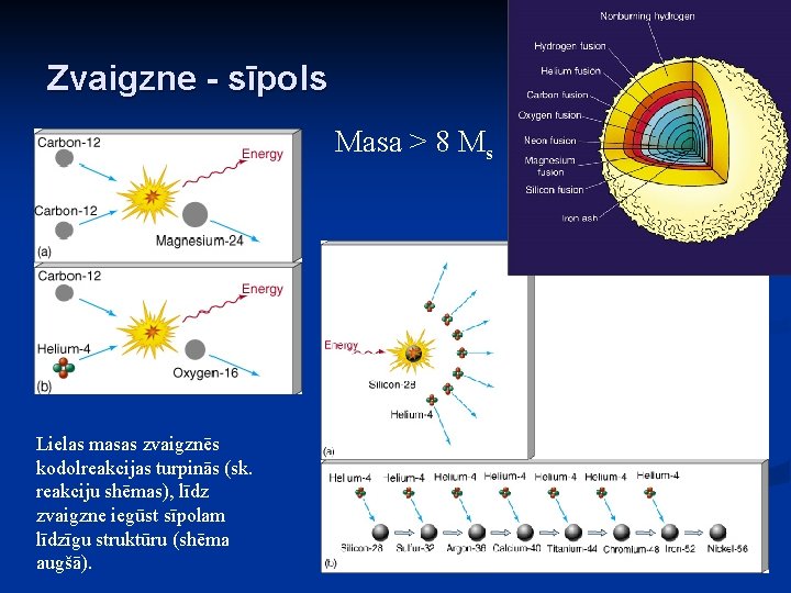 Zvaigzne - sīpols Masa > 8 Ms Lielas masas zvaigznēs kodolreakcijas turpinās (sk. reakciju