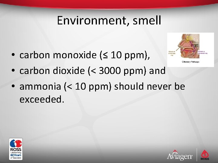 Environment, smell • carbon monoxide (≤ 10 ppm), • carbon dioxide (< 3000 ppm)