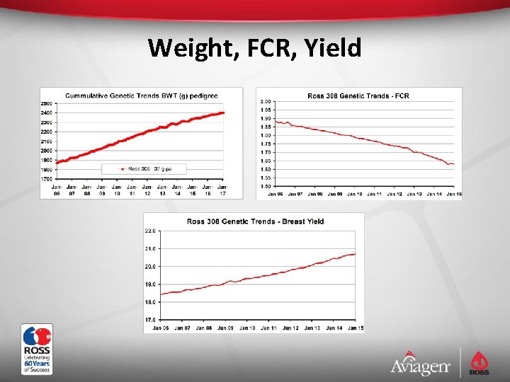 Weight, FCR, Yield 