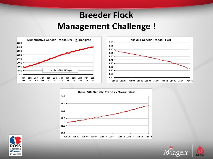 Breeder Flock Management Challenge ! 