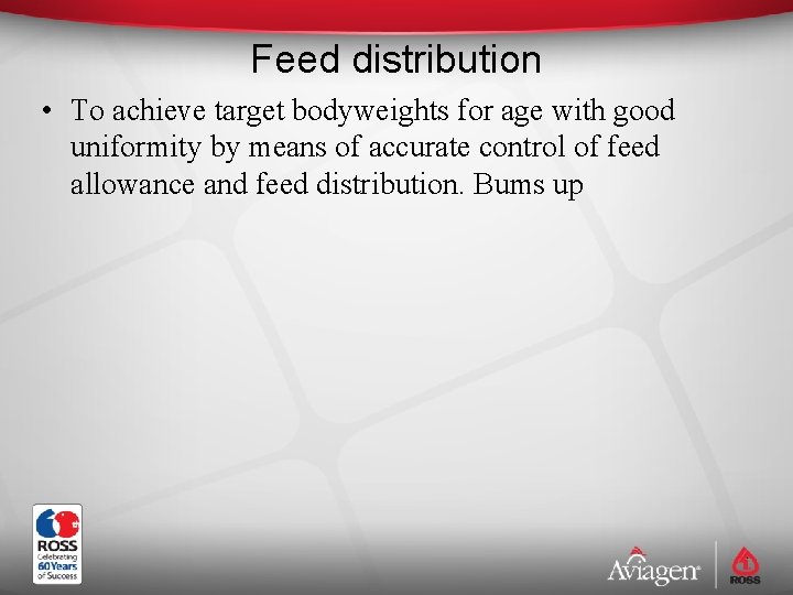 Feed distribution • To achieve target bodyweights for age with good uniformity by means