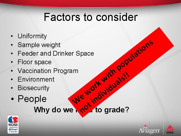 Factors to consider • • Uniformity s Sample weight n o i t Feeder