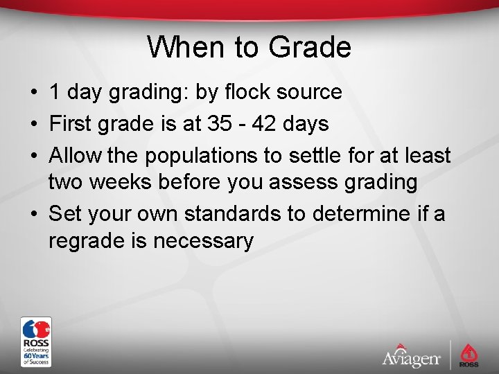 When to Grade • 1 day grading: by flock source • First grade is