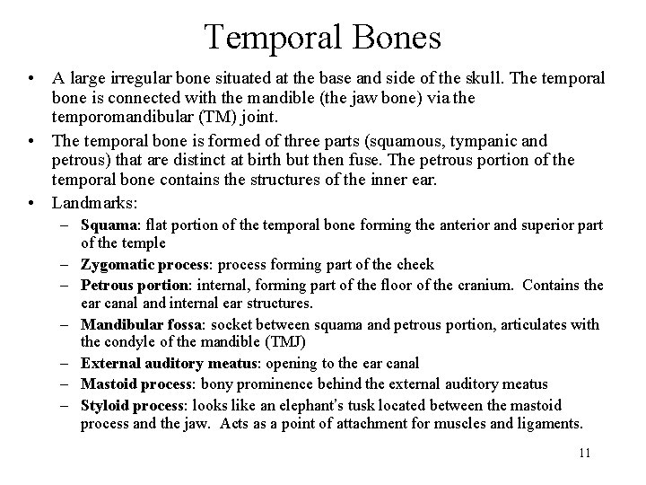 Temporal Bones • A large irregular bone situated at the base and side of