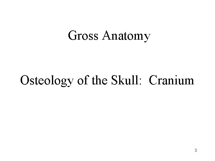 Gross Anatomy Osteology of the Skull: Cranium 3 