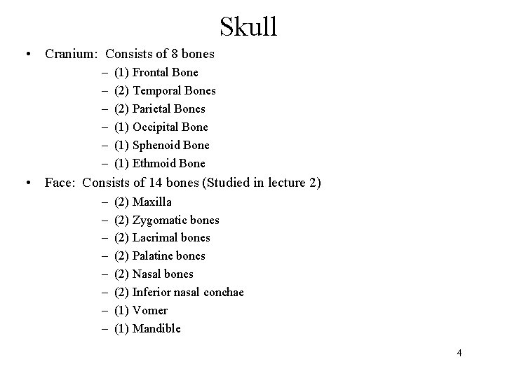 Skull • Cranium: Consists of 8 bones – – – (1) Frontal Bone (2)