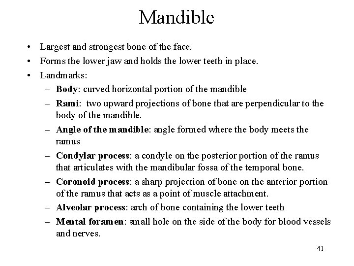 Mandible • Largest and strongest bone of the face. • Forms the lower jaw