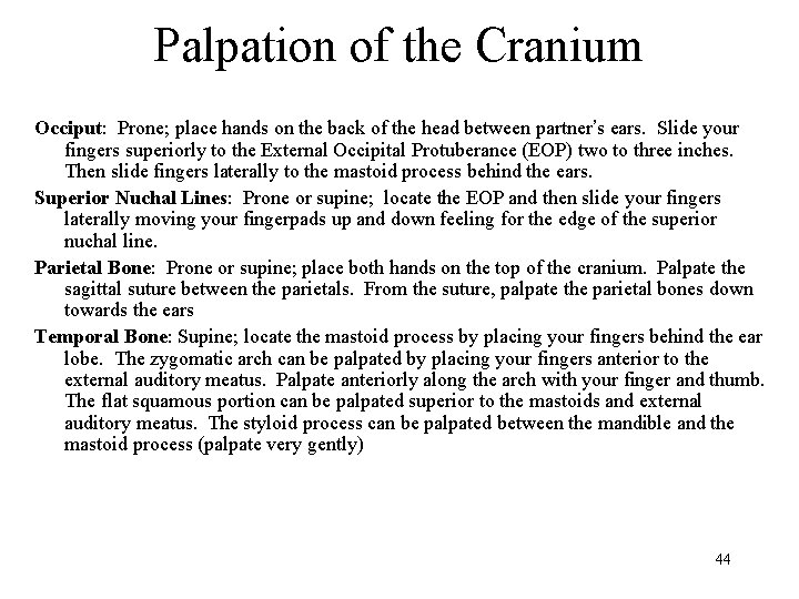 Palpation of the Cranium Occiput: Prone; place hands on the back of the head