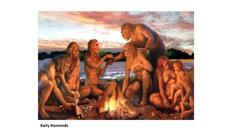 Early Hominids 