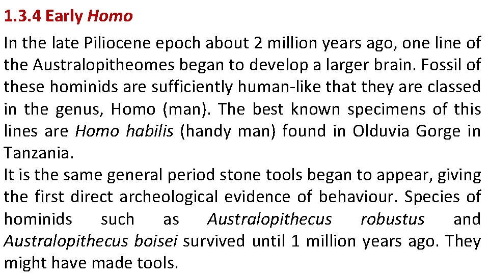 1. 3. 4 Early Homo In the late Piliocene epoch about 2 million years
