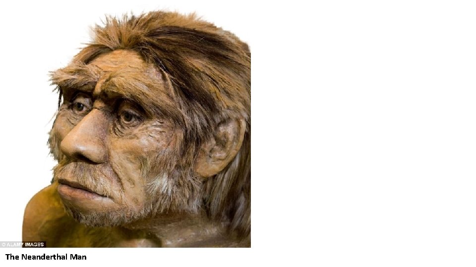The Neanderthal Man 