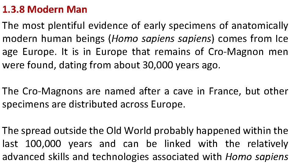 1. 3. 8 Modern Man The most plentiful evidence of early specimens of anatomically