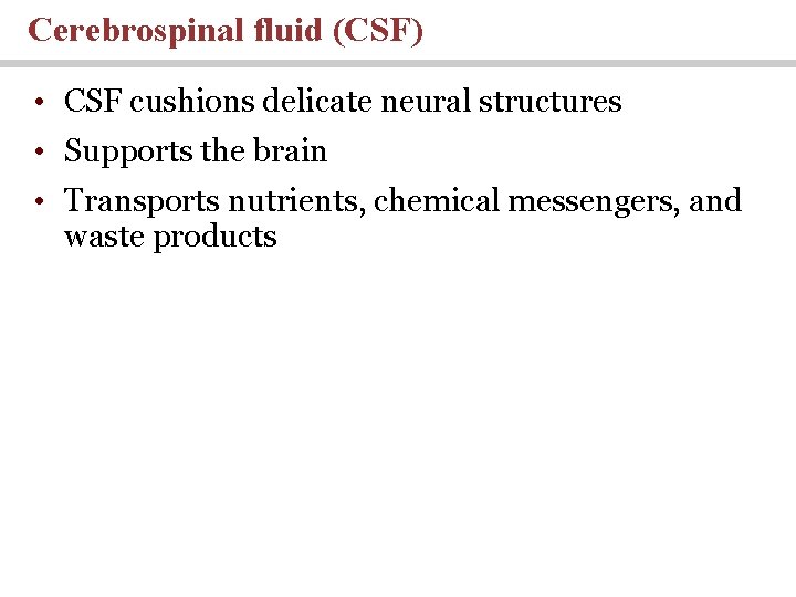 Cerebrospinal fluid (CSF) • CSF cushions delicate neural structures • Supports the brain •