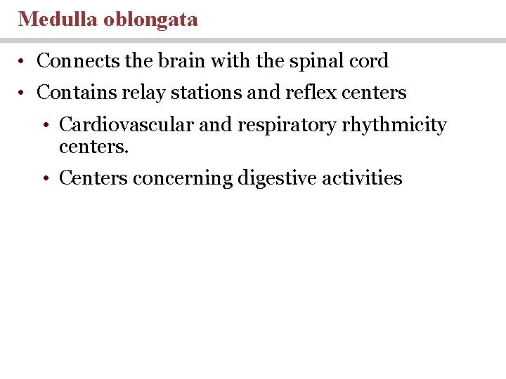 Medulla oblongata • Connects the brain with the spinal cord • Contains relay stations