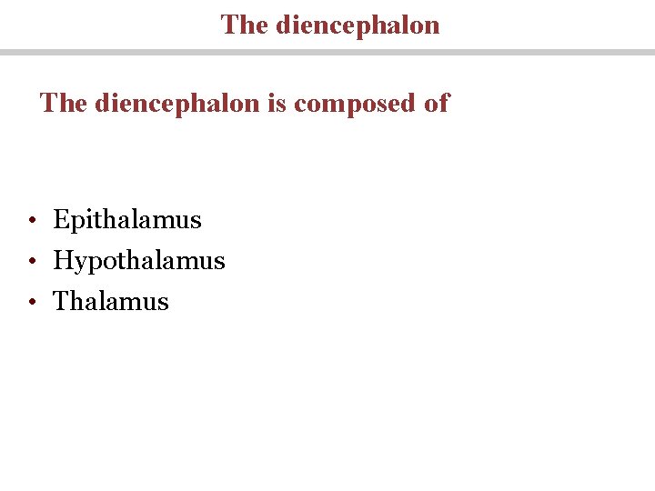 The diencephalon is composed of • Epithalamus • Hypothalamus • Thalamus 