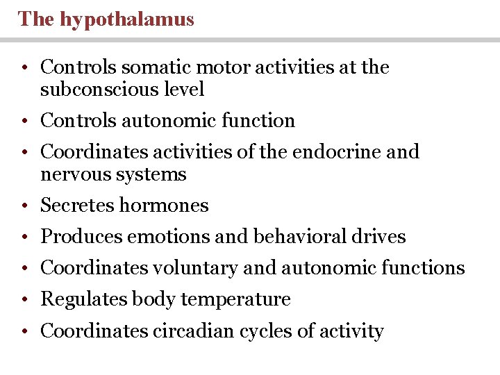 The hypothalamus • Controls somatic motor activities at the subconscious level • Controls autonomic