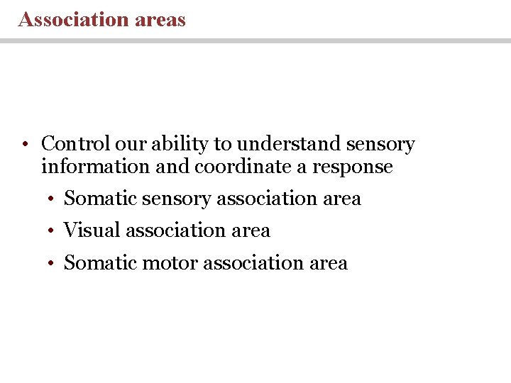 Association areas • Control our ability to understand sensory information and coordinate a response