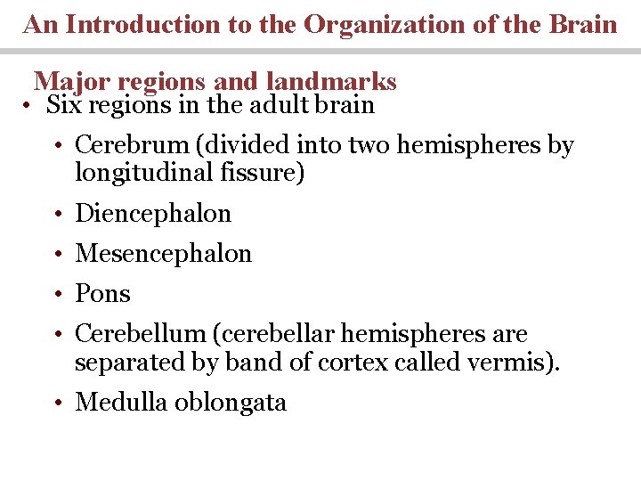 An Introduction to the Organization of the Brain Major regions and landmarks • Six