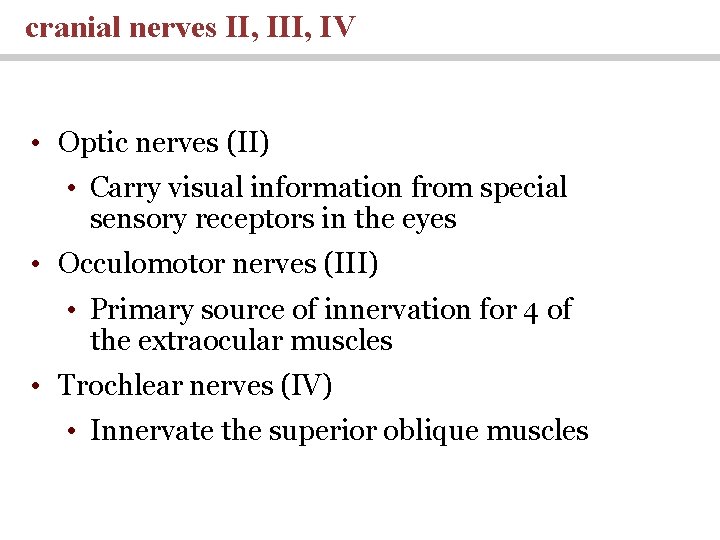 cranial nerves II, IV • Optic nerves (II) • Carry visual information from special