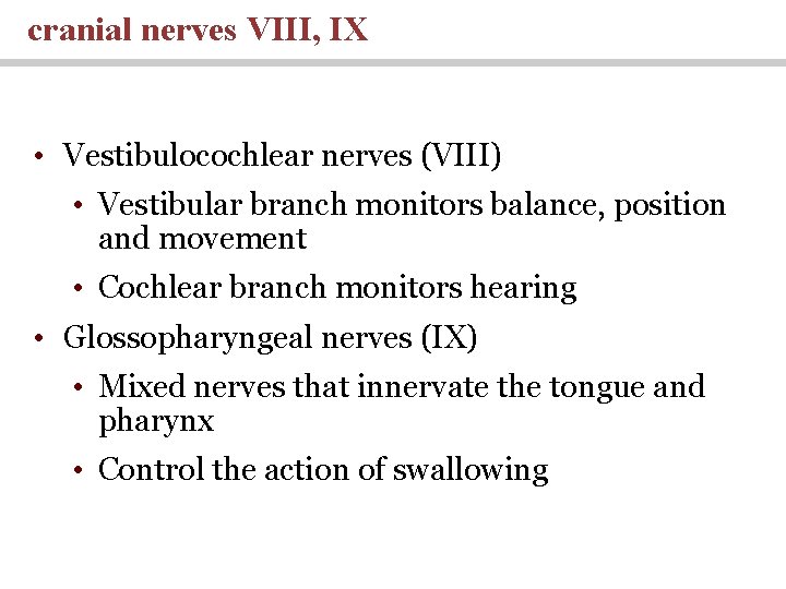 cranial nerves VIII, IX • Vestibulocochlear nerves (VIII) • Vestibular branch monitors balance, position