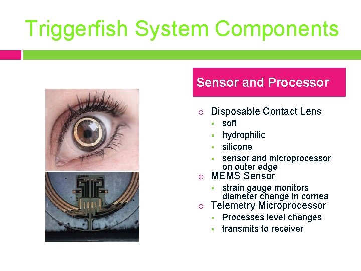 Triggerfish System Components Sensor and Processor Disposable Contact Lens MEMS Sensor soft hydrophilic silicone