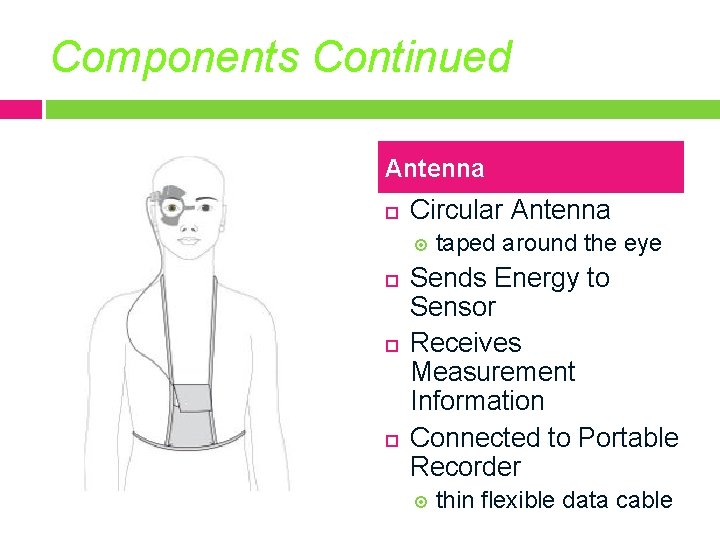 Components Continued Antenna Circular Antenna taped around the eye Sends Energy to Sensor Receives