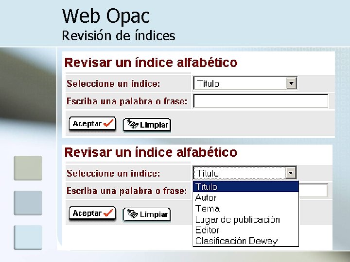 Web Opac Revisión de índices 