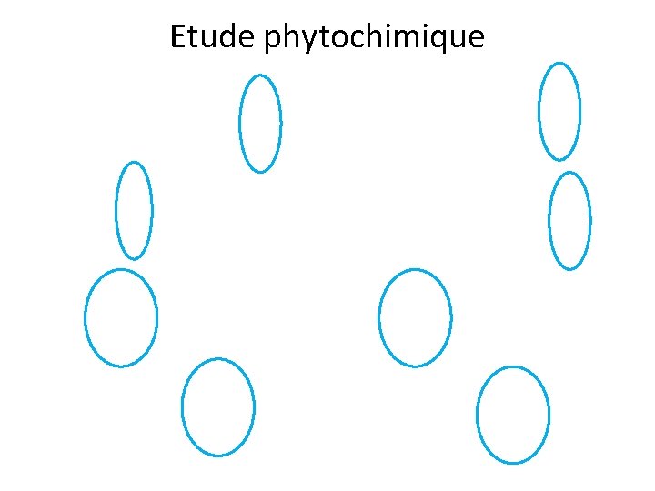Etude phytochimique 