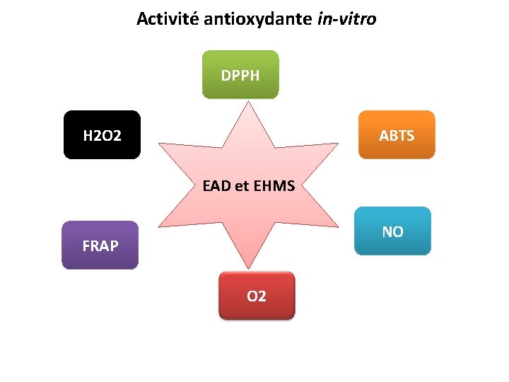 Activité antioxydante in-vitro DPPH H 2 O 2 ABTS EAD et EHMS NO FRAP