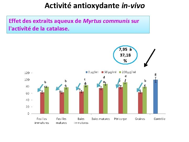 Activité antioxydante in-vivo Effet des extraits aqueux de Myrtus communis sur l'activité de la