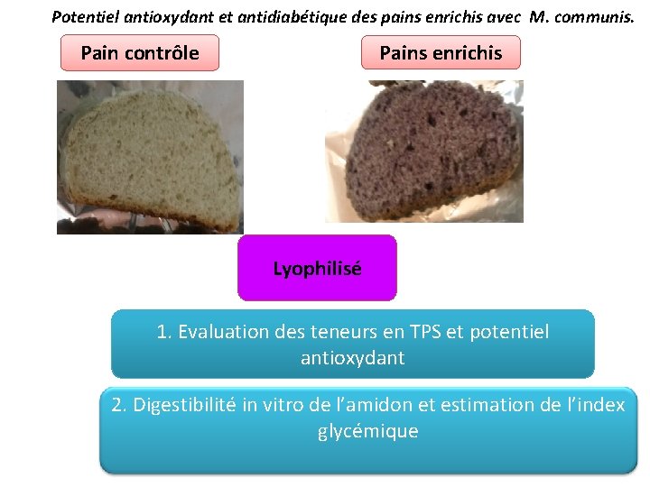 Potentiel antioxydant et antidiabétique des pains enrichis avec M. communis. Pains enrichis Pain contrôle