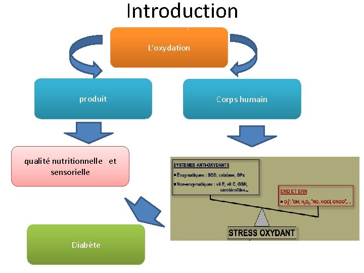 Introduction L’oxydation produit qualité nutritionnelle et sensorielle Diabète Corps humain 