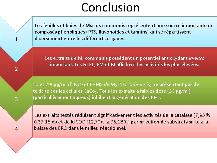 Conclusion 1 2 Les feuilles et baies de Myrtus communis représentent une source importante