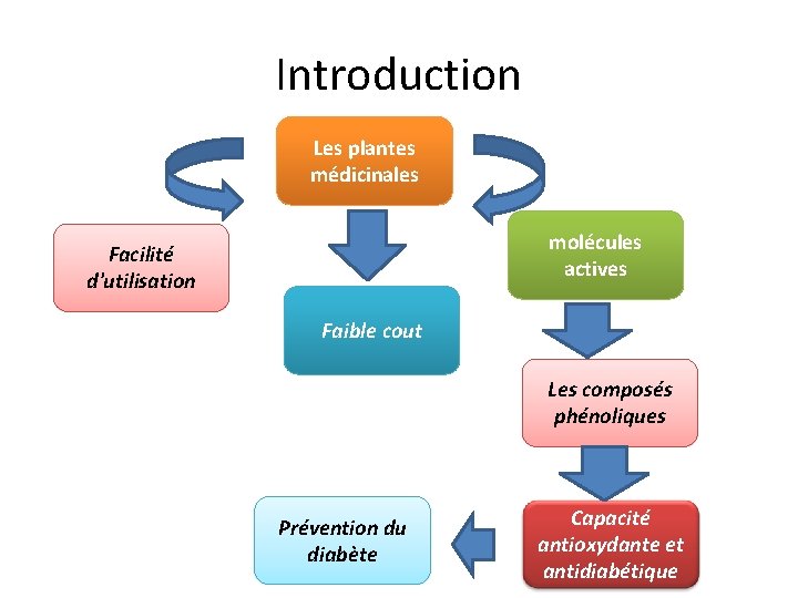 Introduction Les plantes médicinales molécules actives Facilité d'utilisation Faible cout Les composés phénoliques Prévention