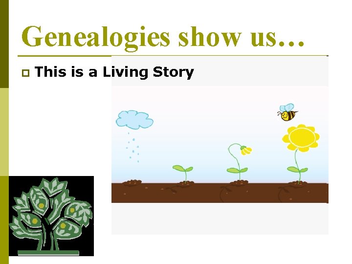 Genealogies show us… p This is a Living Story 