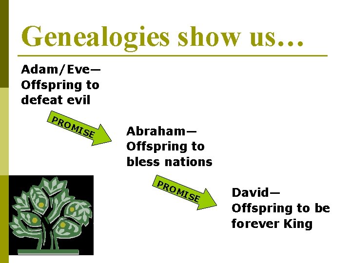 Genealogies show us… Adam/Eve— Offspring to defeat evil PR OM I SE Abraham— Offspring