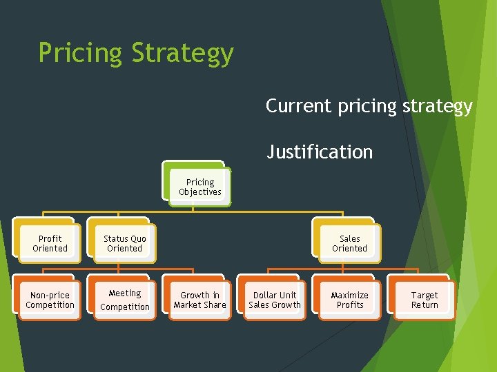 Pricing Strategy Current pricing strategy Justification Pricing Objectives Profit Oriented Status Quo Oriented Non-price