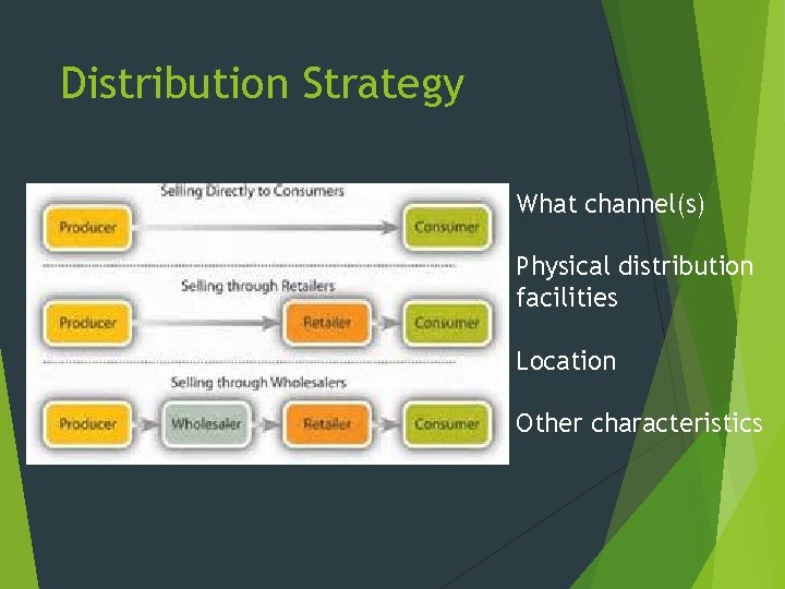 Distribution Strategy What channel(s) Physical distribution facilities Location Other characteristics 