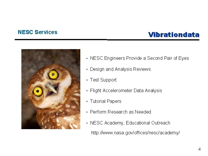 NESC Services Vibrationdata • NESC Engineers Provide a Second Pair of Eyes • Design