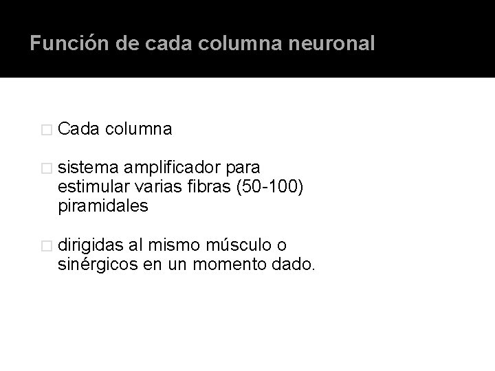 Función de cada columna neuronal � Cada columna � sistema amplificador para estimular varias