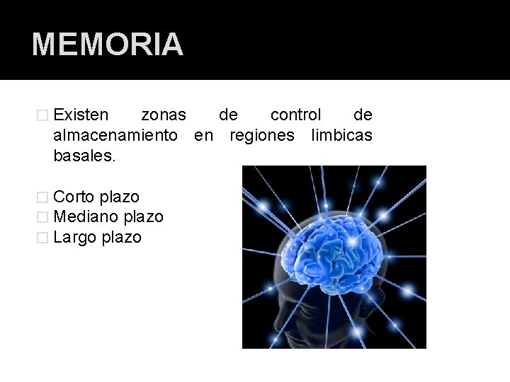 MEMORIA � Existen zonas de control de almacenamiento en regiones limbicas basales. � Corto