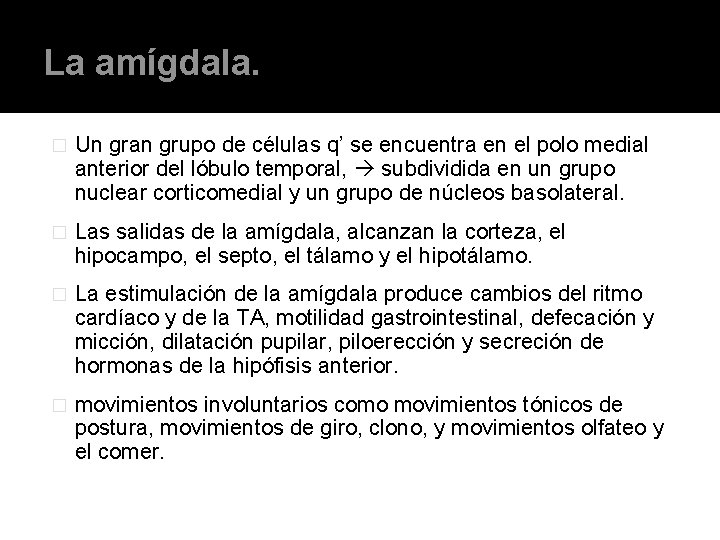 La amígdala. � Un gran grupo de células q’ se encuentra en el polo La amígdala. � Un gran grupo de células q’ se encuentra en el polo
