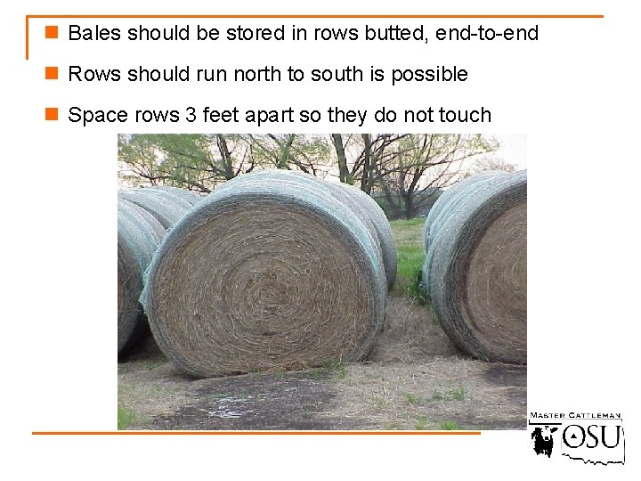 n Bales should be stored in rows butted, end-to-end n Rows should run north