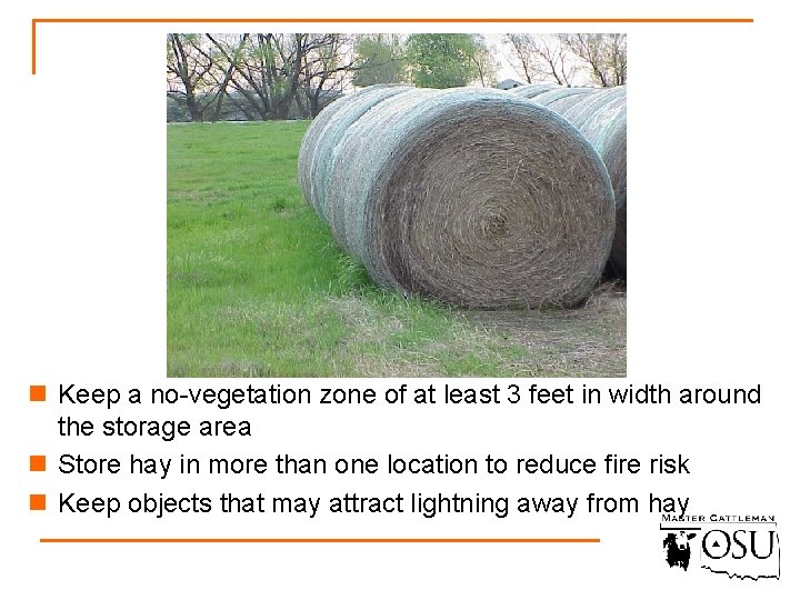 n Keep a no-vegetation zone of at least 3 feet in width around the