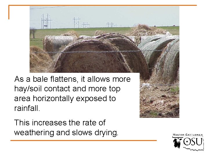 As a bale flattens, it allows more hay/soil contact and more top area horizontally